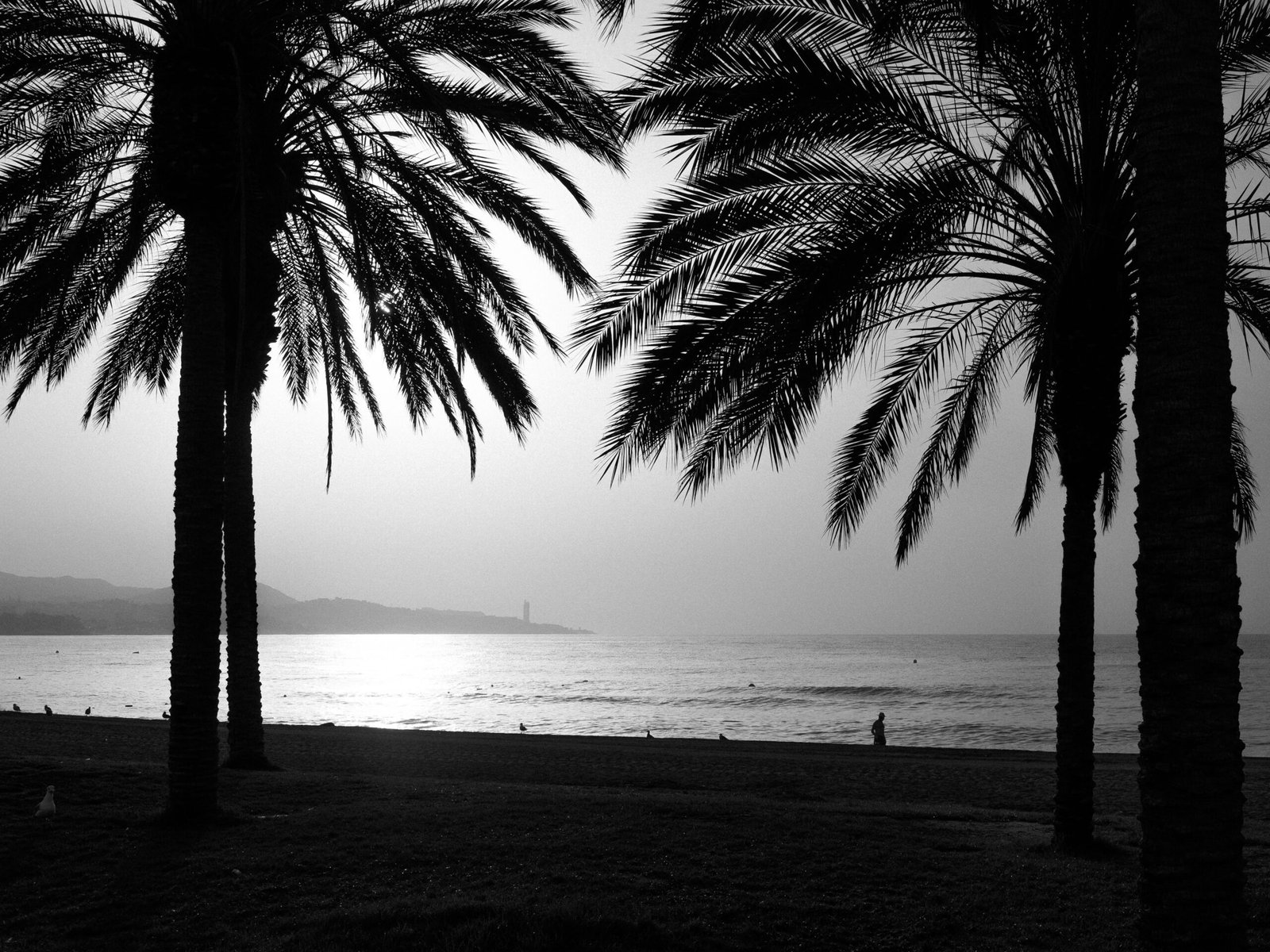 Malaga, Spain, 2024