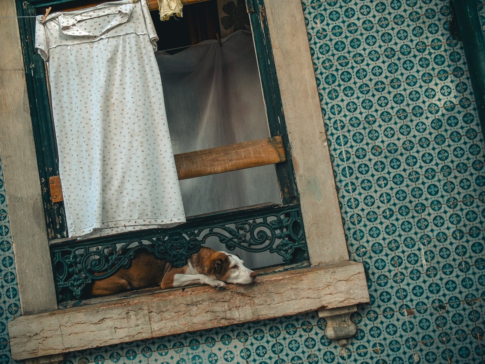 Lisbon, Portugal, 2010