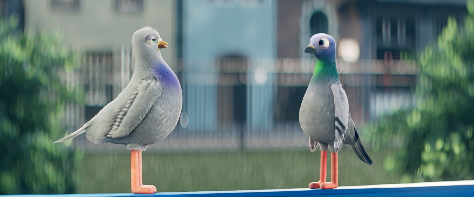 The Progressive Pigeons